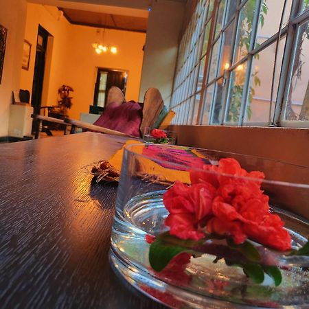 Casa Vidal Guesthouse Tupungato Eksteriør bilde
