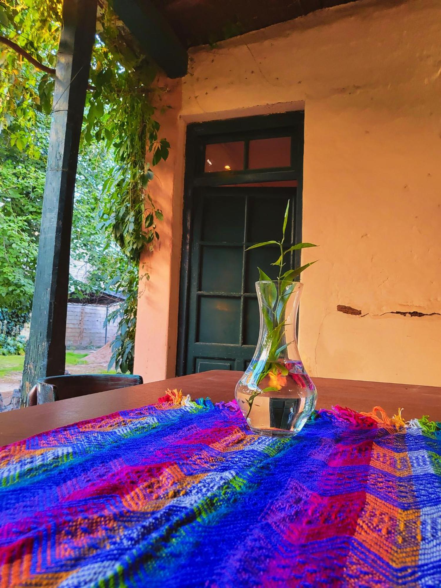 Casa Vidal Guesthouse Tupungato Eksteriør bilde