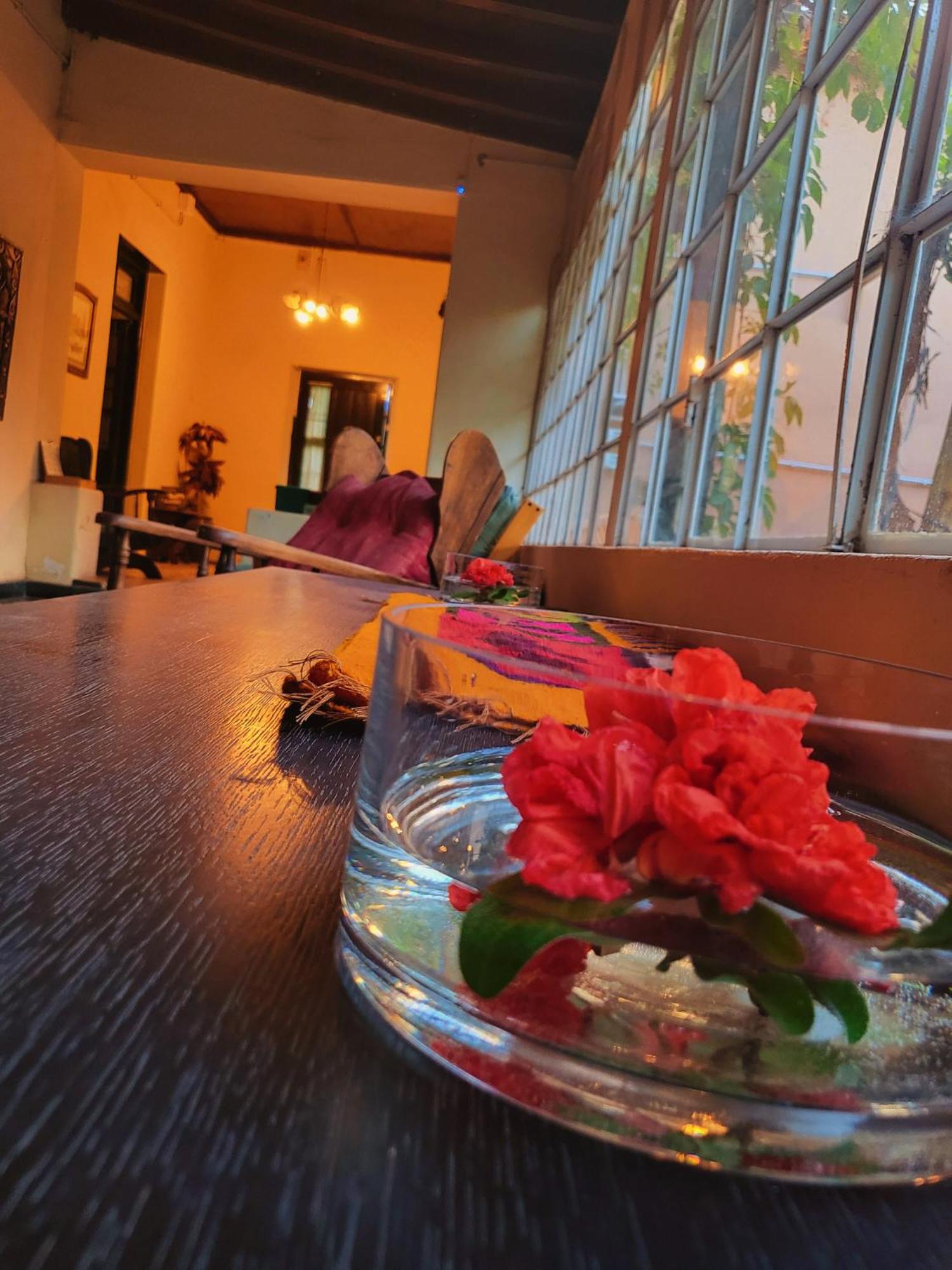 Casa Vidal Guesthouse Tupungato Eksteriør bilde