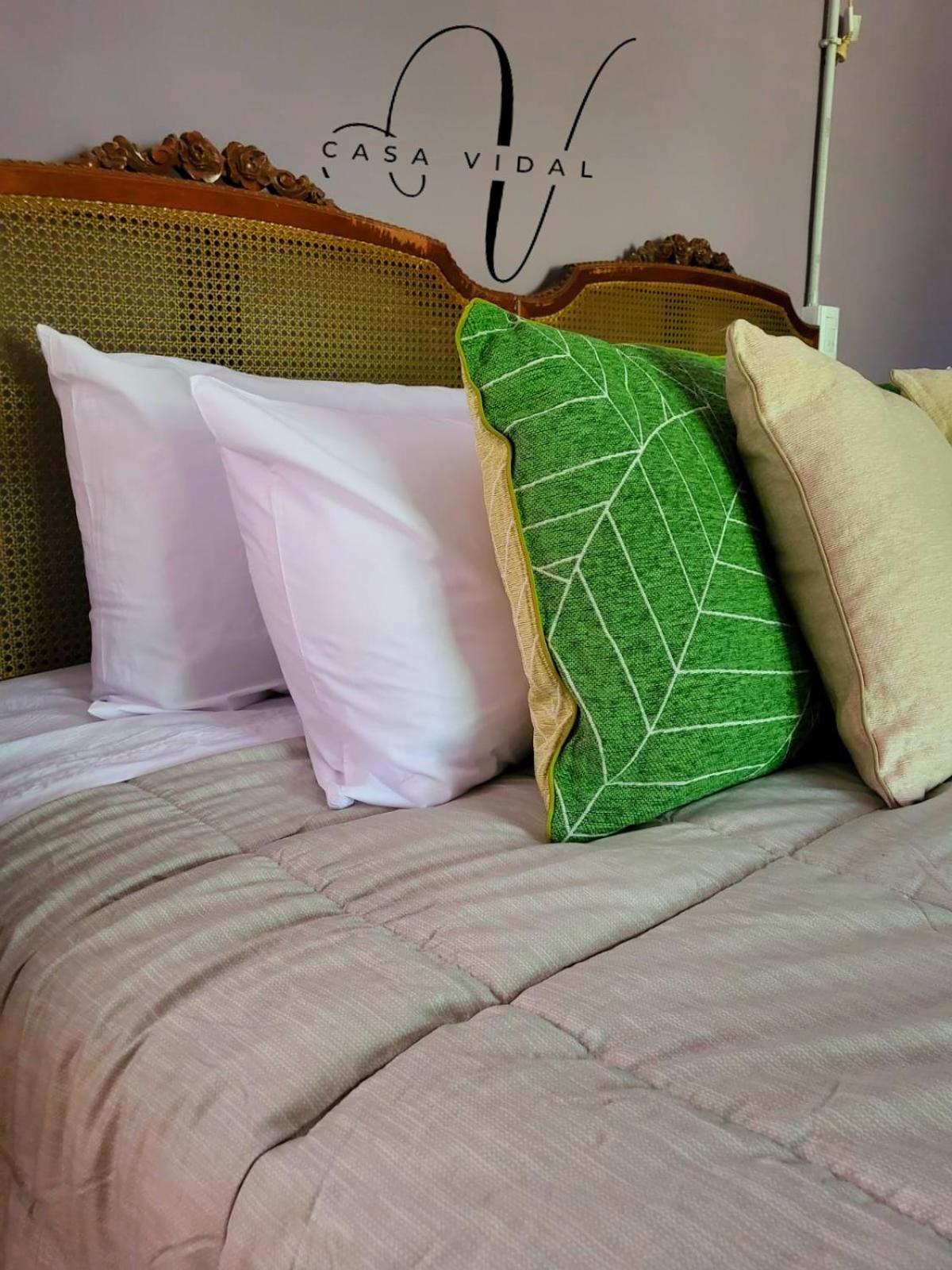 Casa Vidal Guesthouse Tupungato Eksteriør bilde